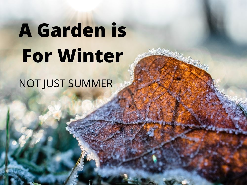 11 tips for looking after your garden in winter