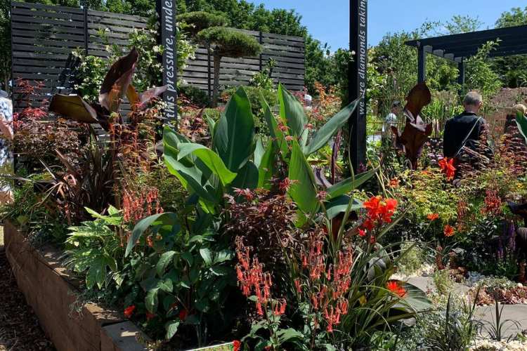 Direct Plants Supplies Gold Medal Winning Garden