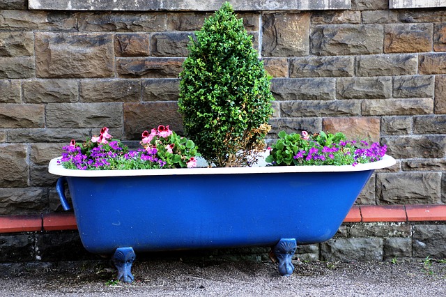 Best containers for potted plants