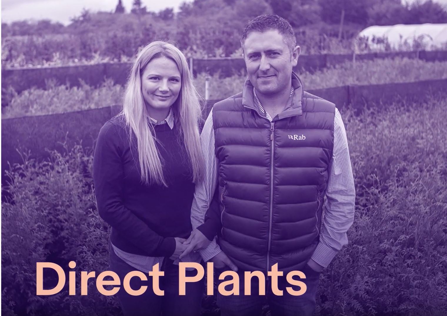 Take a look behind the scenes at Direct Plants