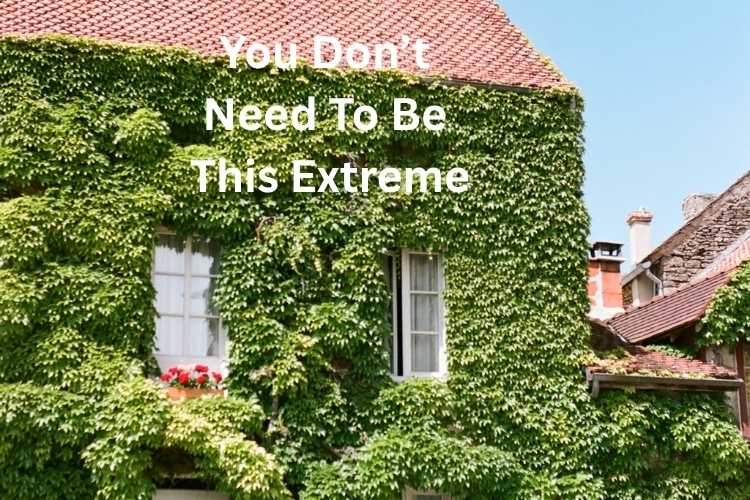 Climbing Plants: How to Transform Walls, Fences and Arches into Living Displays