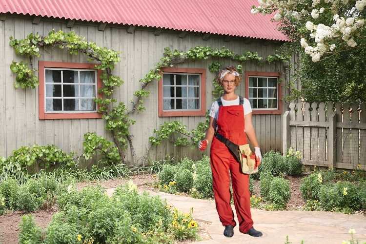 Climbing Plants for Limited Spaces