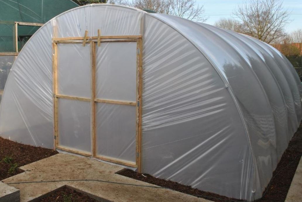 What can I grow in a polytunnel?