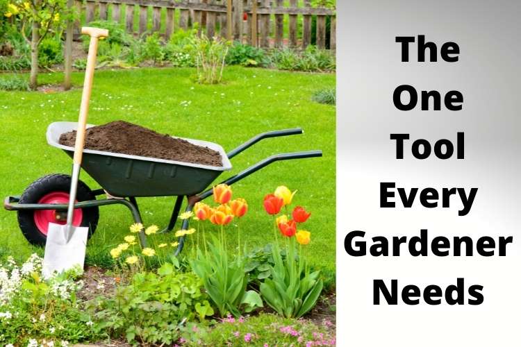 How to choose the best garden wheelbarrow