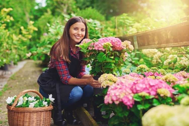 ​10 tips for planting, growing, and caring for hydrangeas