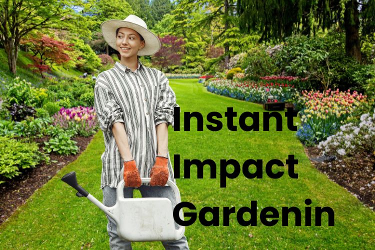 Instant Impact Gardening: How to Make Your Garden Look Established Fast