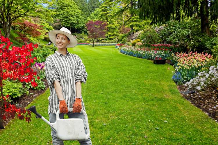 Japanese Maple Trees (Acers): Guide for UK Gardens