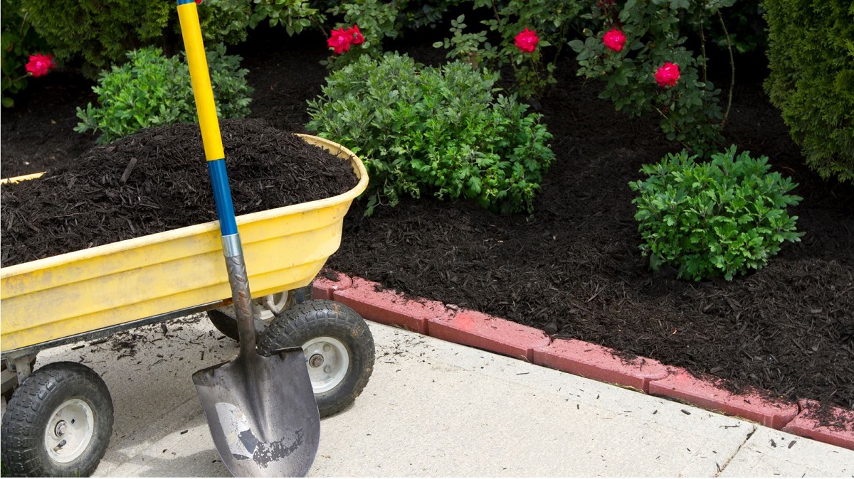 What is the best mulch for plants?