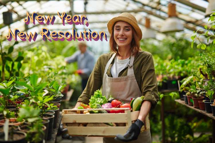 New Year Resolutions for the Gardener