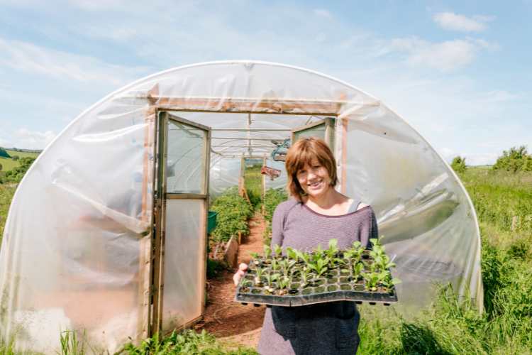 10 Reasons Why You Need a Polytunnel