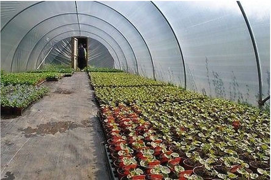 How to heat a polytunnel