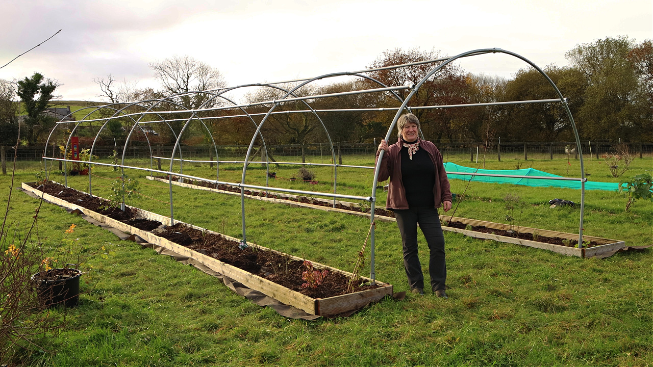 Vertical growing arch - how to add vertical growing space to your garden