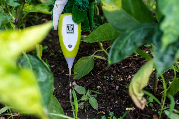 10 Useful Gardening Tools You Didn't Know You Needed