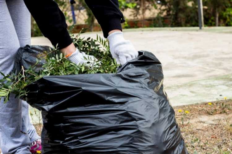 5 spring gardening jobs to prepare for summer