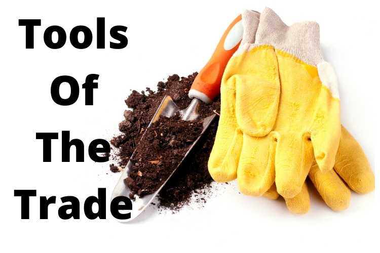 Essential garden hand tools every new gardener needs