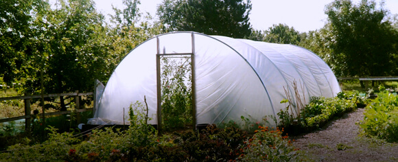 Polytunnels, Greenhouses