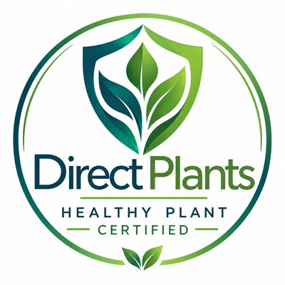 Direct Plants Healthy Plant Certified