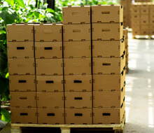 Pallet Deals