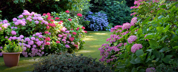 Ready Made Garden Borders