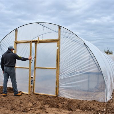 Polytunnels