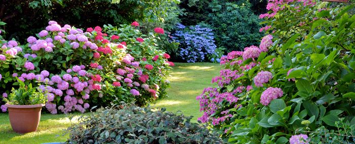Ready Made Garden Borders