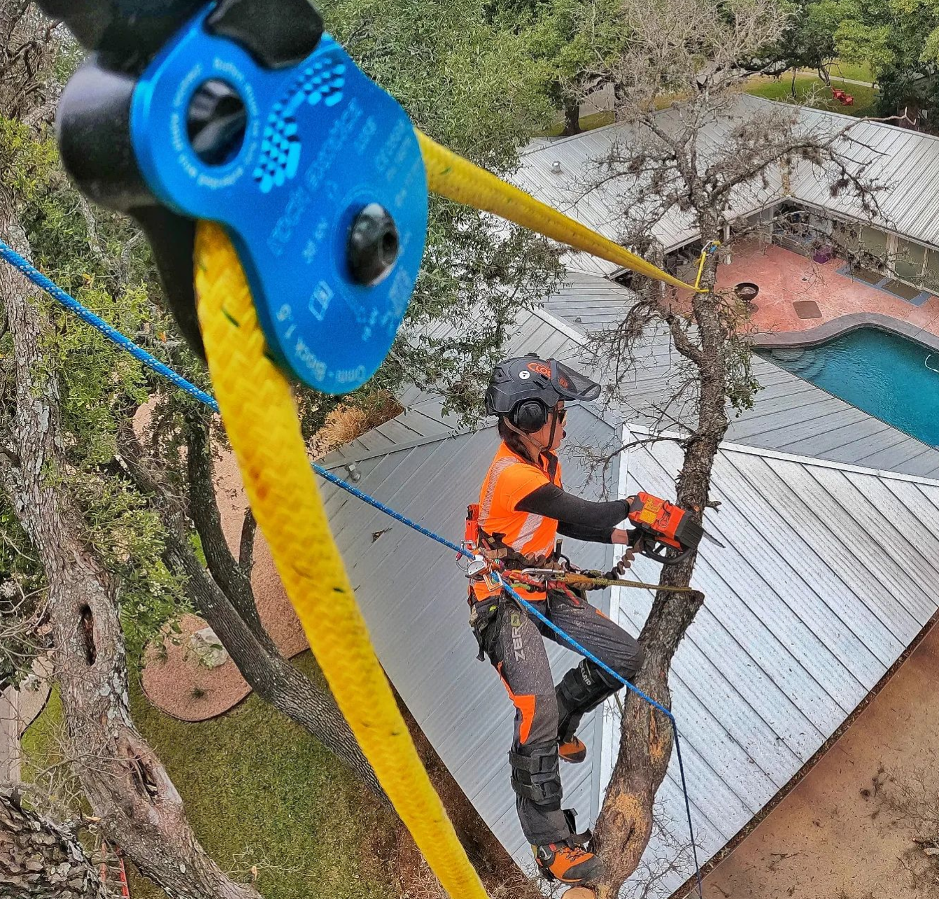 Clogger Zero Chainsaw Pants Arborist Kayla
