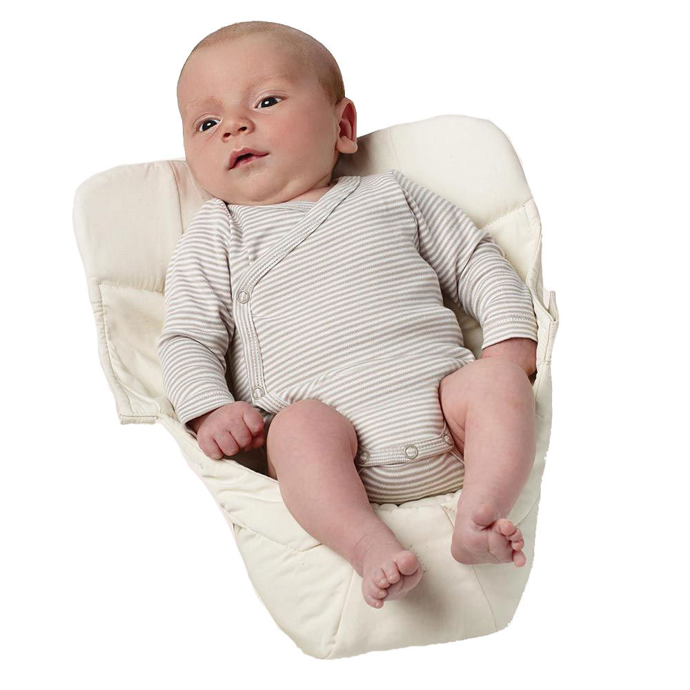 Easy Snug Infant Insert