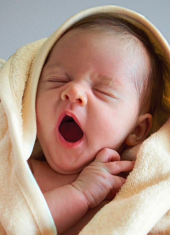 Smart answers to common feeding questions