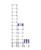 Xtend 12.5Ftladder Type 1A 300 - 780P