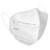 KN95 Disposable Mask