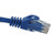 Cat6 Snagless Ethernet Patch Cable - Blue - 1 Ft