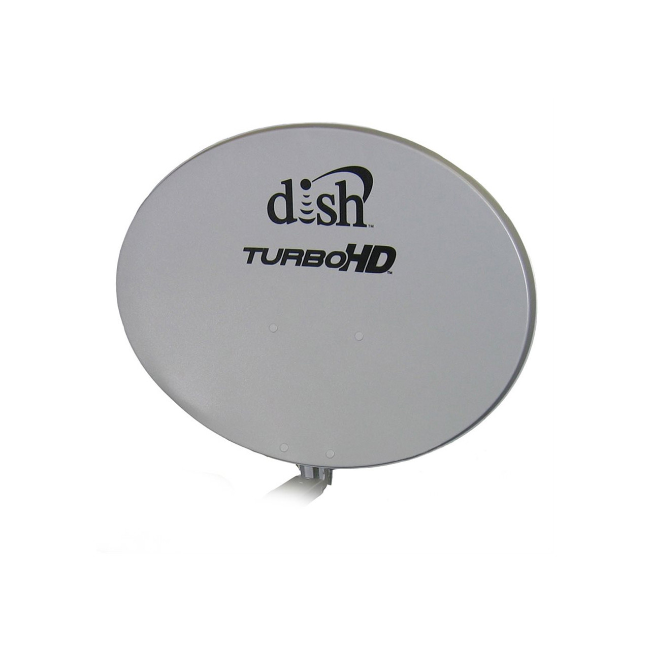 Search | Pace International