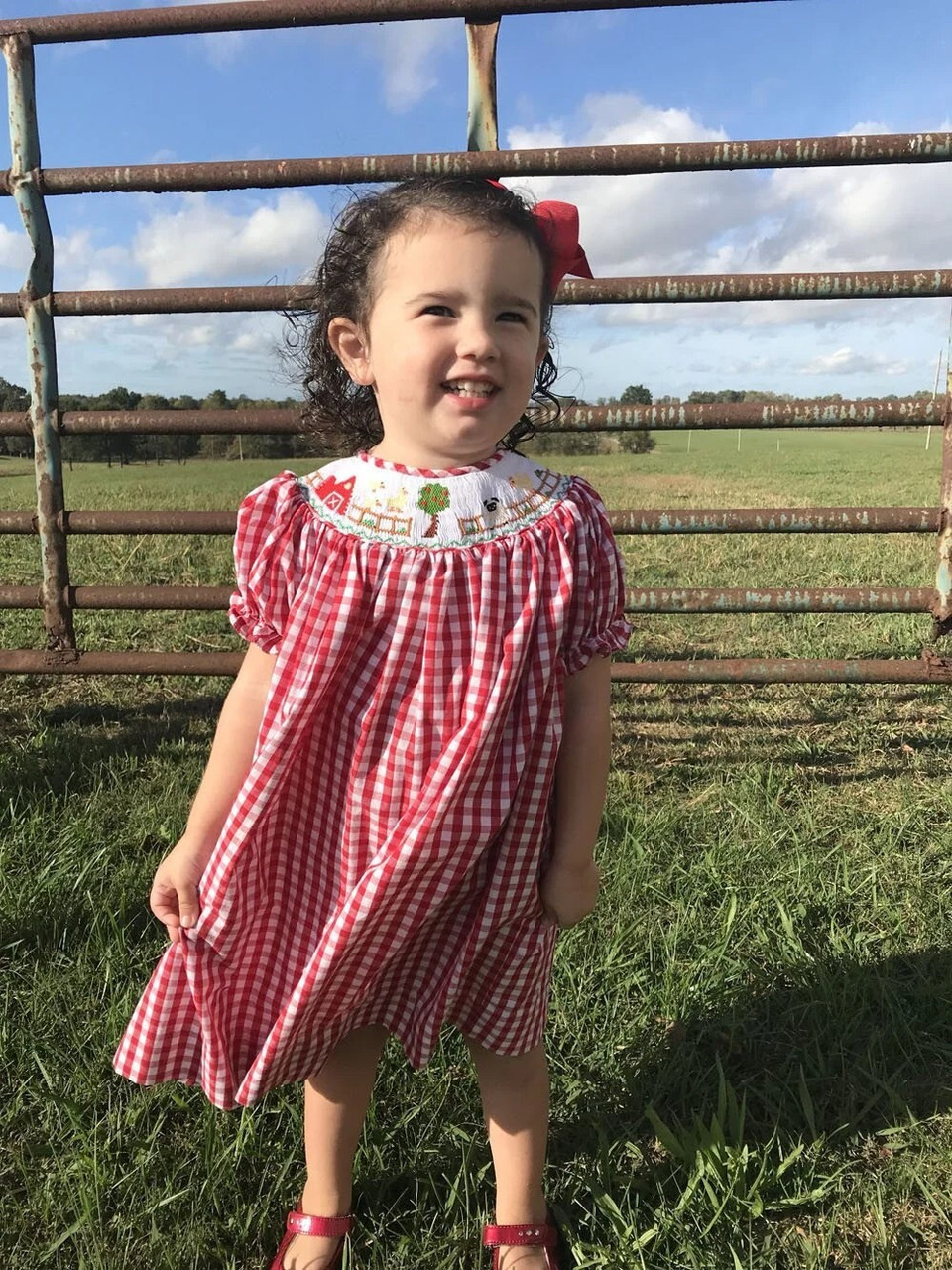 Farm Birthday Party