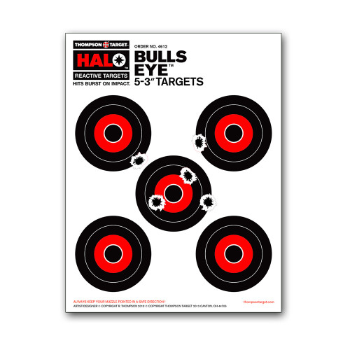Thompson Target HALO Bullseye Reactive Splatter Targets Review