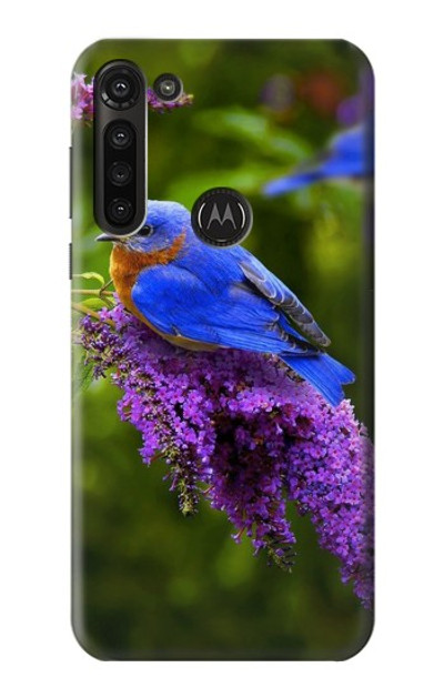 S1565 Bluebird of Happiness Blue Bird Case Cover Custodia per Motorola Moto G8 Power