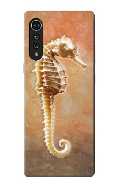 S2674 Seahorse Skeleton Fossil Case Cover Custodia per LG Velvet