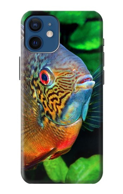 S1812 Cichlid Fish Case Cover Custodia per iPhone 12 mini
