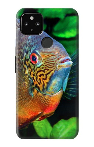 S1812 Cichlid Fish Case Cover Custodia per Google Pixel 4a 5G