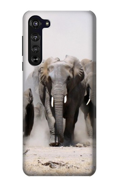 S3142 African Elephant Case Cover Custodia per Motorola Edge