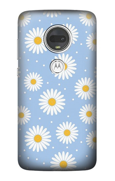 S3681 Daisy Flowers Pattern Case Cover Custodia per Motorola Moto G7, Moto G7 Plus
