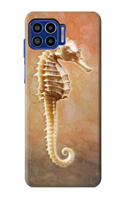 S2674 Seahorse Skeleton Fossil Case Cover Custodia per Motorola One 5G