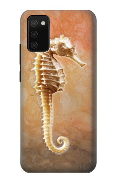 S2674 Seahorse Skeleton Fossil Case Cover Custodia per Samsung Galaxy A02s, Galaxy M02s