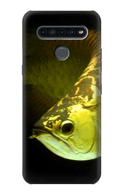 S1021 Gold Arowana Fish Case Cover Custodia per LG K41S