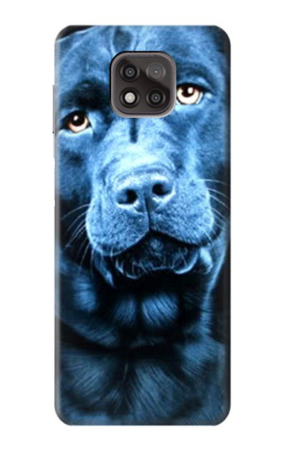 S0750 Labrador Retriever Case Cover Custodia per Motorola Moto G Power (2021)