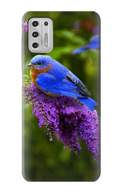 S1565 Bluebird of Happiness Blue Bird Case Cover Custodia per Motorola Moto G Stylus (2021)