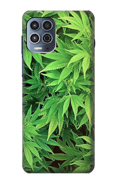 S1656 Marijuana Plant Case Cover Custodia per Motorola Moto G100