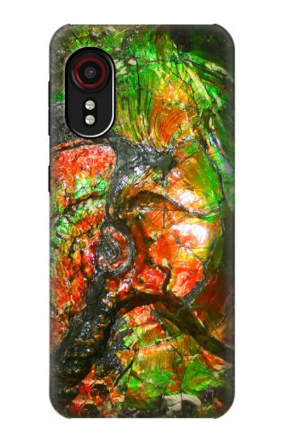 S2694 Ammonite Fossil Case Cover Custodia per Samsung Galaxy Xcover 5 S2694 Ammonite Fossil Case Cover Custodia per Samsung Galaxy Xcover 5