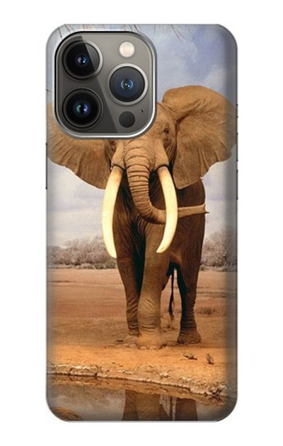 S0310 African Elephant Case Cover Custodia per iPhone 13 Pro