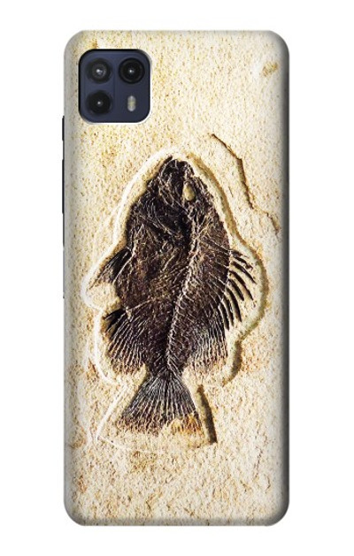 S2562 Fossil Fish Case Cover Custodia per Motorola Moto G50 5G [for G50 5G only. NOT for G50]