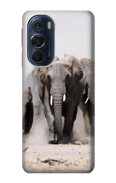 S3142 African Elephant Case Cover Custodia per Motorola Edge X30